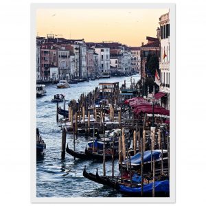 78d59d56-2fef-4839-8508-40e9cd349396