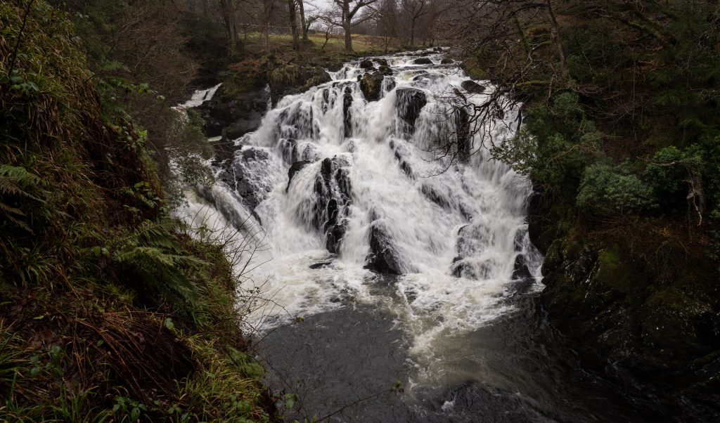 Swallow Falls waterfall in Snowdonia North Wales with rushing white water over dark rocks surrounded by forest